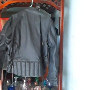 Cilantro Mens leather